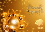 blog-image