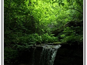 небольшой водопад в лесу