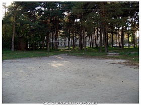 футбольное поле с воротами на пришкольной территории в Алексино