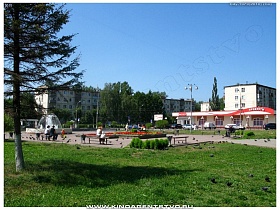 птицы, свободно гуляющие в городском парке с фонтаном в Ивантеевке