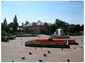 цветочные клумбы на площади у фонтана в небольшом городском парке в Ивантеевке