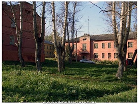 зеленый двор обычных жилых двухэтажных домов в Алексино