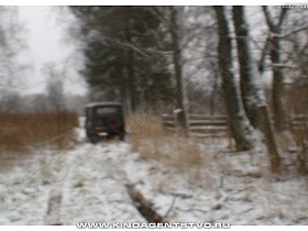 машина на дороге вдоль высоких хвойных деревьев с одной стороны и высокими стеблями сухой травы с другой в Калашниково