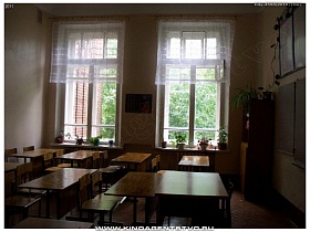 комнатные цветы на окнах и на шкафу в небольшом классе общеобразовательной школы №1 в Переславле