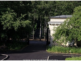 стройные высокие березы за открытыми воротами черного металлического забора вокруг института-советская интеллигенция