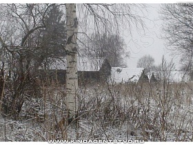 белые от снега крыши деревянных домов старой заброшенной деревни Тверской области сквозь заросшие кусты и ствол белой березы