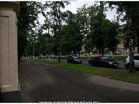 аллея с зелеными деревьями вдоль института на Ленинском проспекте