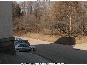 смешанные деревья в парке при институте - советская интеллигенция поздней  осенью