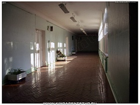 длинный светлый коридор школы с комнатными цветами у стены