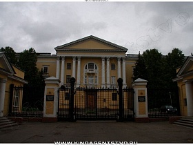 желтое здание института с белыми круглыми колоннами за черным металлическим забором с воротами на входе вдоль Ленинского