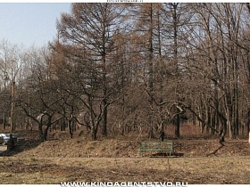 скамейки для отдыха вдоль пешеходных дорожек на территории института-советская интелегенция в окружении сада осенью