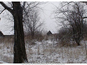 заснеженные треугольные крыши деревянных домов сквозь стволы деревьев в Калашниково в зимнее время