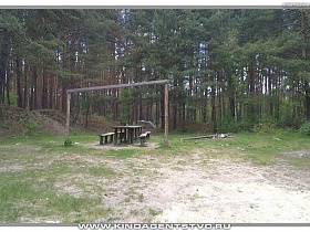 стол и скамейки на поляне у соснового леса