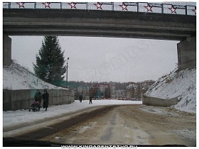 высокая зеленая ель у автомобильной магистрали под мостом на въезде в город Ржев