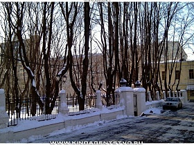 ряд высоких деревьев у металлического забора с колоннами медицинского учреждения с расчищенной от снега широкой дорогой у ворот