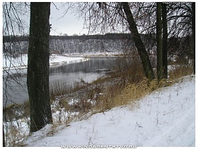 заросший  берег извилистой реки в г. Ржев зимой