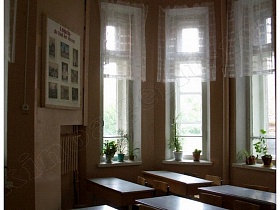 комнатные цветы на окнах класса с учебными партами и учительским столом в школе №1