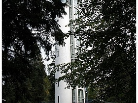 высокий дом-башня среди деревьев