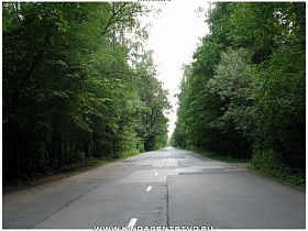 широкая автомобильная трасса в густом лесу