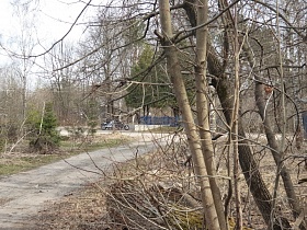 перекресток дорог с остановками в окружении зеленых елей и лиственных деревьев в осеннее время на торфоразработках