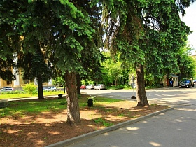 дорожные знаки, пункт пропуска на въезде на территорию усадьбы среди высоких зеленых елей и многочисленных лиственных деревьев