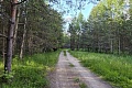blog-image