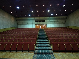 Ковровая дорожка в советском зале