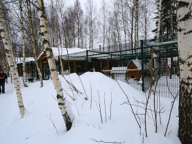 сугробы снега вокруг высокого зеленого металлического забора с клетками для животных в мини зоопарке на территрии хутора с мазанкой