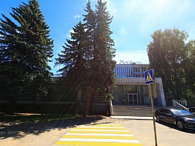 высокие раскидистые ели перед зданием гостиницы "Дубна" СССР вдоль автомобильной дороги с размеченной пешеходной зеброй и дорожным знаком