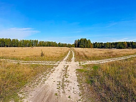 пересечение дорог в широком поле у основания густого смешанного леса