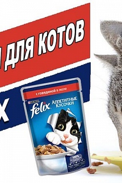 «Felix» - еда для кошек