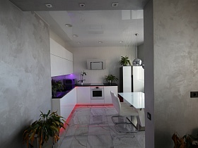 микроволновка, комнатные цветы на черной столешнице белой кухни с открытого дверного проема гостиной современной квартиры в лаконичном сером хай-тек исполнении