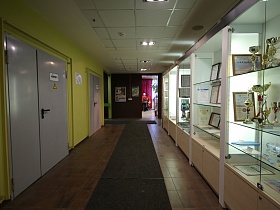 ковровая дорожка на полу с коричневой плиткой в длинном коридоре с наградами, дипломами и наградами на полках стеклянных витринных шкафов
