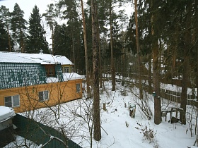 вид из окона съемного дома на соседний участок с соснами и двухэтажным домом