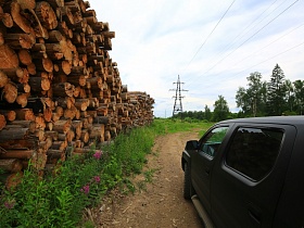 огромная груда очищенных стволов деревьев вдоль накатанной лесной дороги на лесоповале под ЛЭП