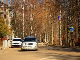 белые стволы берез у жилых домов вдоль дороги с движущимся транспортом и синими дорожными знаками на обочине в Сычево