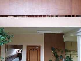 комнатное растение и прямоугольное зеркало у коричневой двери в санкомнату в светлом холле под открытой лестничной площадкой с ограждением на втором этаже столовки