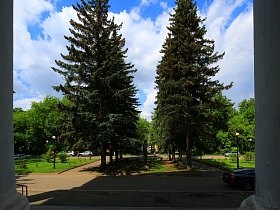 высокие зеленые ели по центру аллеи между дорожками перед зданием усадьбы эпохи СССР