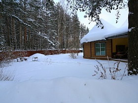 снежный двор художественной дачи за высоким забором в сосновом лесу