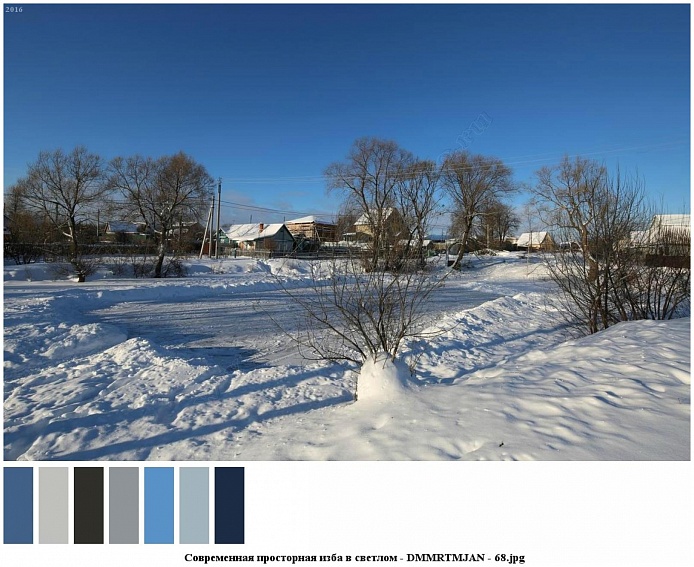 деревья и кустарники вдоль расчищенной от снега дороги в поселке с жилыми домами в зимнее время