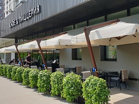 открытая площадка кафе с уютными столиками  под большими зонтиками за невысоким забором из живой зелени при ресторане Академия