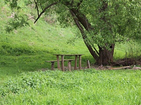 покосившиеся ножки деревянного стола со скамейкой на поляне под раскидистым деревом с дуплом среди густой зеленой травы