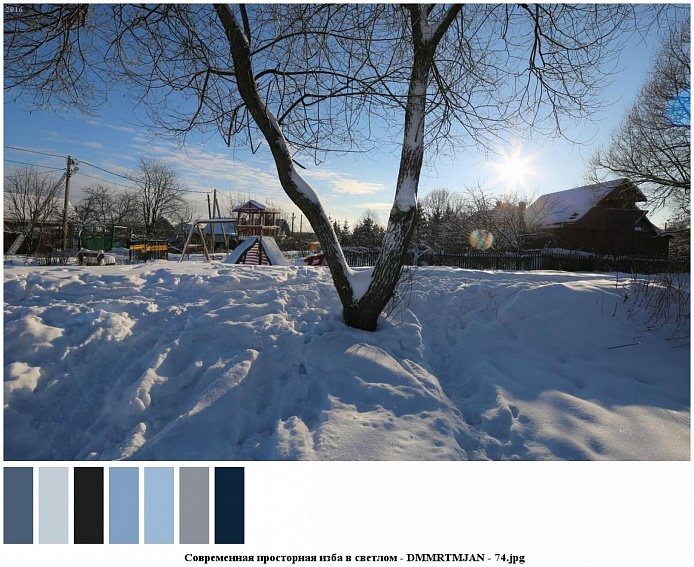 раздвоенный ствол дерева на обочине проезжей заснеженной дороги у жилых домов в яркий зимний солнечный день