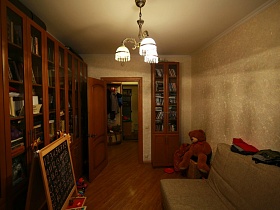 книжный шкаф вдоль стены гостиной и узкий у входной двери в двухкомнатной квартире новостроя