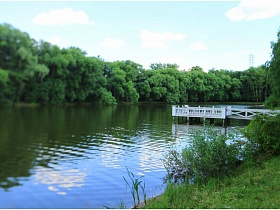 зеленый берег романтического пруда с мостиком