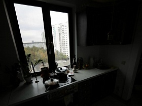 вид из окна кухни с комнатными цветами на подоконнике простой семейной квартиры на соседние высотные жилые дома