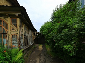 старинный дом в голландском стиле на участке с полуразрушенным покрытием, яркой зеленью деревьев, травы и цветов