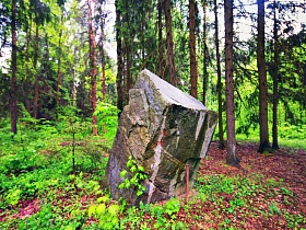 огромная каменная глыба на земле с зеленой травой и опавшими листьями под стволами высоких деревьев в густом лесу