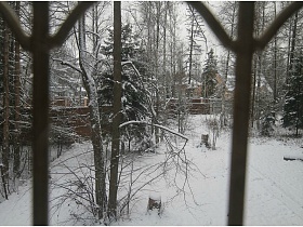 вид из окна с решеткой на дачный  участок с красивыми зелеными елями в зимнее время