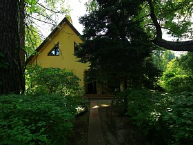 фигурные окна на втором этаже желтого дачного домика на участке в лесу